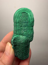 Load image into Gallery viewer, 3” Druzy Malachite Stalactites — Botryoidal Cave Formation | DR Congo | Collector Mineral Specimen