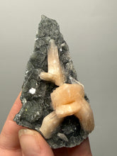 Load image into Gallery viewer, Pink Stilbite Druzy on Botryoidal Black Chalcedony | India | High-Grade Mineral Collector Specimen