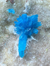Load image into Gallery viewer, Rare Electric Blue Pentagonite on Druzy Matrix – Collector Mineral Specimen | India