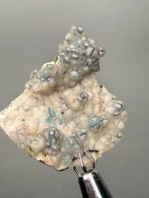 Load image into Gallery viewer, Blue-Green Chrysocolla in Botryoidal Chalcedony Cabinet Specimen | Indonesia
