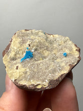 Load image into Gallery viewer, Rare Electric Blue Pentagonite on Druzy Matrix – Collector Mineral Specimen | India