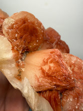 Load image into Gallery viewer, LARGE Rare Red Druzy Apophyllite with Red Stilbite Cluster Zeolite | India | Collector Mineral Specimen