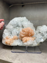 Load image into Gallery viewer, FINE MINERAL | Gem Apophyllite with Spectacular Pink Stilbite Flower | Maharashtra, India