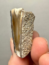 Load image into Gallery viewer, Premium Sumatra Agate (Banded Chalcedony) Display Specimen | Indonesia
