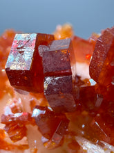 Load image into Gallery viewer, Natural Vanadinite on Matrix | Collector Mineral Specimen | Morocco