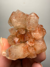 Load image into Gallery viewer, Rare Red Apophyllite Crystal Cluster – High Grade Collector Mineral Specimen | India