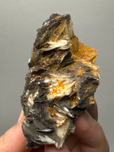 Load image into Gallery viewer, Natural Vanadinite on Matrix | Collector Mineral Specimen | Morocco