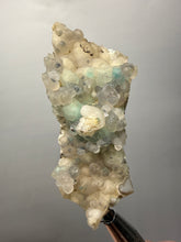 Load image into Gallery viewer, Blue-Green Chrysocolla in Botryoidal Chalcedony Cabinet Specimen | Indonesia