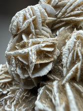 Load image into Gallery viewer, Desert Rose Selenite (Gypsum) — Mineral Display Specimen | Mexico