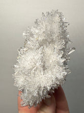 Load image into Gallery viewer, High-Grade Chrysanthemum Quartz (Needle Quartz) Spray Cluster | Jiangxi, China