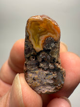 Load image into Gallery viewer, Lot of 9 Small Malawi Agate Halves – Polished Rare Colorful Collector Specimens
