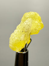 Load image into Gallery viewer, Vibrant Yellow Brucite Thumbnail Mineral Specimen | Collector Crystal from Killa Saifullah District in Balochistan Province, Pakistan