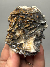 Load image into Gallery viewer, Natural Vanadinite on Matrix | Collector Mineral Specimen | Morocco