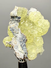 Load image into Gallery viewer, Vibrant Yellow Brucite Thumbnail Mineral Specimen | Collector Crystal from Killa Saifullah District in Balochistan Province, Pakistan