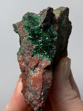Load image into Gallery viewer, Brochantite Collector Mineral Specimen – Vivid Green Copper Crystals from Morocco