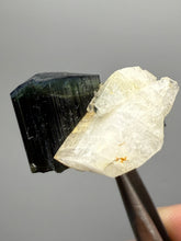 Load image into Gallery viewer, Blue Cap Dark Green Stak Nala Tourmaline and Cleavelandite – Haramosh Mountains, Pakistan | Thumbnail Specimen