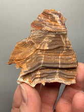 Load image into Gallery viewer, Chalcedony Quartz Rose Agate Collector Mineral Specimen – Morocco