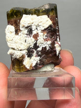 Load image into Gallery viewer, Tri-Color Tourmaline with Feldspar Mineral Specimen – Pakistan