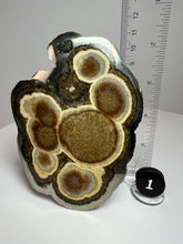 Load image into Gallery viewer, BARITE, MARCASITE Polished Free Form • Lubin Mine, KGHM, Lubin District, Legnica, Lower Silesial, Poland