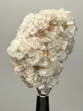 Load image into Gallery viewer, Light Purple Lepidolite with Light Green Tourmaline on Matrix – Pakistan Mineral Specimen | Collector Grade