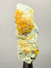 Load image into Gallery viewer, Hessonite Garnet Cluster on Matrix – Natural Collector Specimen from Pakistan | High-Grade Orange-Red Garnet Crystals