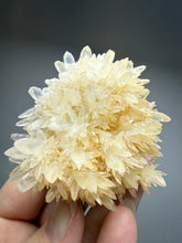Load image into Gallery viewer, High-Grade Flower Coral Aragonite Crystal Specimen – Wenshan Mine, Yunnan, China