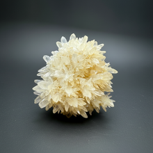 Load image into Gallery viewer, High-Grade Flower Coral Aragonite Crystal Specimen – Wenshan Mine, Yunnan, China
