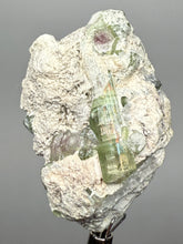 Load image into Gallery viewer, Watermelon Tourmaline on Matrix – Collector Mineral Specimen from Pakistan
