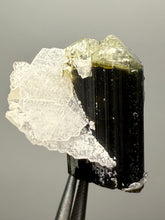 Load image into Gallery viewer, Dark Green Cap Stak Nala Tourmaline with Cleavelandite Flower – Haramosh Mountains, Pakistan | Thumbnail Specimen