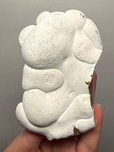 Load image into Gallery viewer, Chichaoua Menalite “Fairy Stone” Concretion | Natural Collector Display Specimen | Morocco