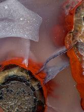 Load image into Gallery viewer, Rare Moroccan Orbicular Agate Collected by Indigenous Nomads | Ancient Beauty from the Sahara