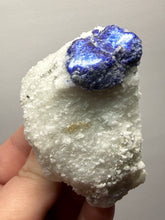 Load image into Gallery viewer, Afghanite & Lazurite on Matrix Collector Display Specimen | Badakhshan Region, Afghanistan