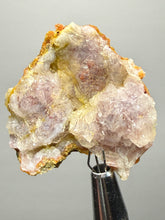 Load image into Gallery viewer, “Goblin Chalcedony” Pink & Orange Druzy Botryoidal Stalactites— Tichka Massif, High Atlas, Morocco