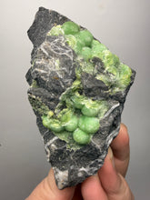 Load image into Gallery viewer, High-Grade Green Wavellite Collectors Specimen - Radiating Botryoidal Crystal Formation - Arkansas, USA