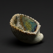 Load image into Gallery viewer, Bivalve (Pelecypoda) Fossil Sea Shell with Chalcopyrite | Mineralized Fossil Specimen | Indonesia