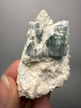 Load image into Gallery viewer, Watermelon Tourmaline with Cleavelandite and Aquamarine Blue Beryl Matrix – Collector Mineral Specimen from Pakistan
