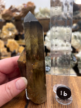 Load image into Gallery viewer, Smoky Citrine (Natural) • Madagascar