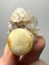Load image into Gallery viewer, Rare Botryoidal Yellow Fluorite on Quartz Matrix Collector Mineral Specimen – Maharashtra, India