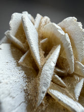 Load image into Gallery viewer, Desert Rose Selenite (Gypsum) — Mineral Display Specimen | Mexico