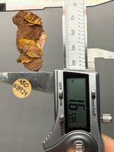 Load image into Gallery viewer, High-Grade Orange Wulfenite Collector Display Specimen | La Morita Mine, Chihuahua, Mexico