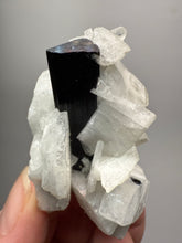 Load image into Gallery viewer, Dark Green Cap Stak Nala Tourmaline with Cleavelandite Matrix – Haramosh Mountains, Pakistan