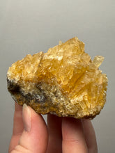 Load image into Gallery viewer, Golden Glow Calcite Cluster | Maharashtra, India