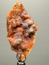 Load image into Gallery viewer, “Goblin Chalcedony” Pink & Orange Druzy Botryoidal Stalactites— Tichka Massif, High Atlas, Morocco