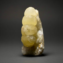 Load image into Gallery viewer, Rare Botryoidal Yellow Fluorite on Quartz Matrix Collector Mineral Specimen – Maharashtra, India