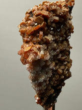 Load image into Gallery viewer, Vanadinite Crystal Specimen | Moroccan Mineral Collector Piece