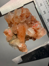 Load image into Gallery viewer, Rare Red Druzy Apophyllite with Red Stilbite Cluster | India | Collector Mineral Specimen