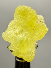Load image into Gallery viewer, Vibrant Yellow Brucite Thumbnail Mineral Specimen | Collector Crystal from Killa Saifullah District in Balochistan Province, Pakistan