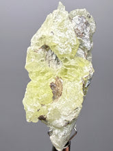 Load image into Gallery viewer, Vibrant Yellow Brucite Thumbnail Mineral Specimen | Collector Crystal from Killa Saifullah District in Balochistan Province, Pakistan