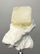Load image into Gallery viewer, Rare Druzy Golden “Diamond” Calcite on Zeolite Matrix — Maharashtra, India | Collector Cabinet Specimen
