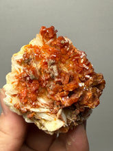Load image into Gallery viewer, Natural Vanadinite on Matrix | Collector Mineral Specimen | Morocco